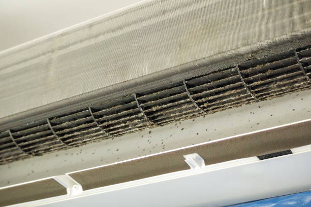Best Affordable HVAC Duct Cleaning  in Center Point, AL